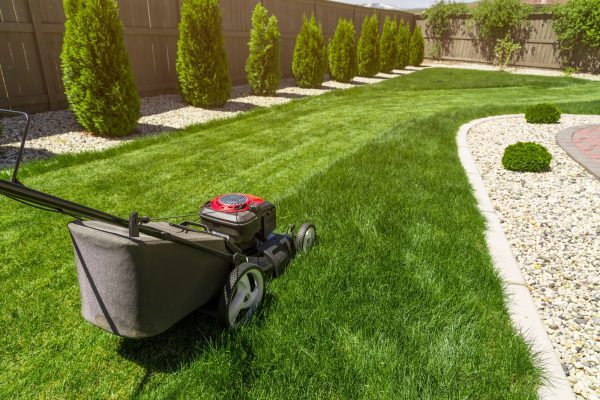 Gardening Services Gardening Services