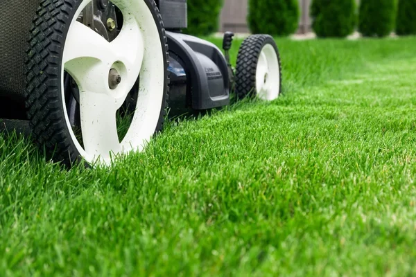 depositphotos_76306161-stock-photo-lawn-mower depositphotos_76306161-stock-photo-lawn-mower