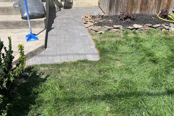 grass installation grass installation