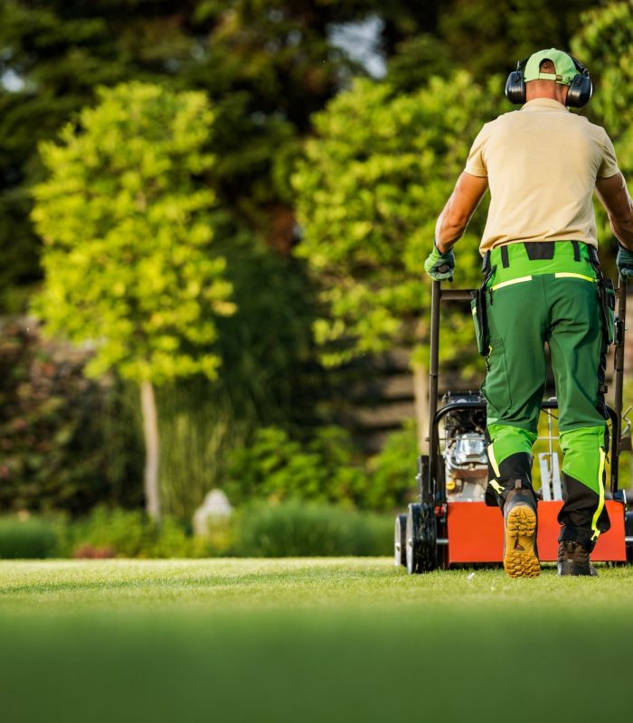 Landscaper Pushing Scarifier Machine Taking Care of the Lawn Landscaper Pushing Scarifier Machine Taking Care of the Lawn