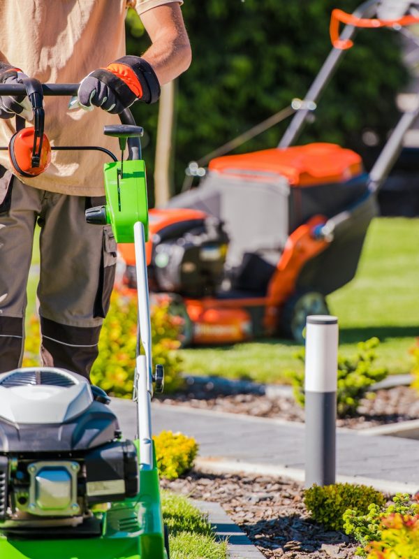 Professional Landscape Gardening Services Professional Landscape Gardening Services