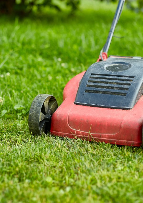 unrecognizable Woman mows the lawn with a lawn mower grass at home garden, gardener woman working unrecognizable Woman mows the lawn with a lawn mower grass at home garden, gardener woman working